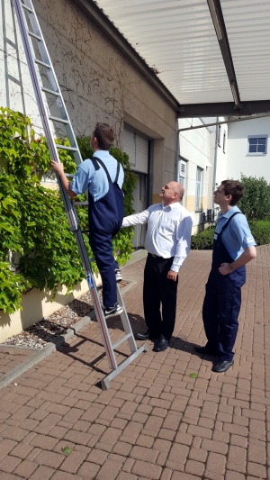 rws-gebaeudeservice_gebauedereinigung_lehrlinge_leiter-an-wand-anlegen